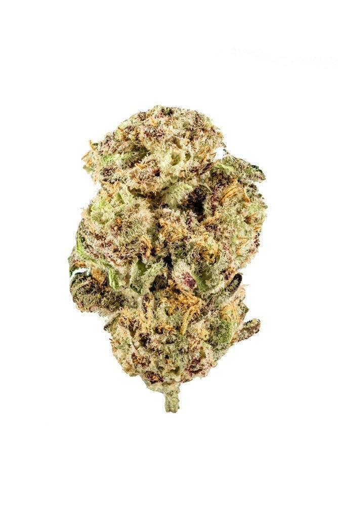 Rare Dankness | Gold Member | Flower | 3.5g by Rare Dankness