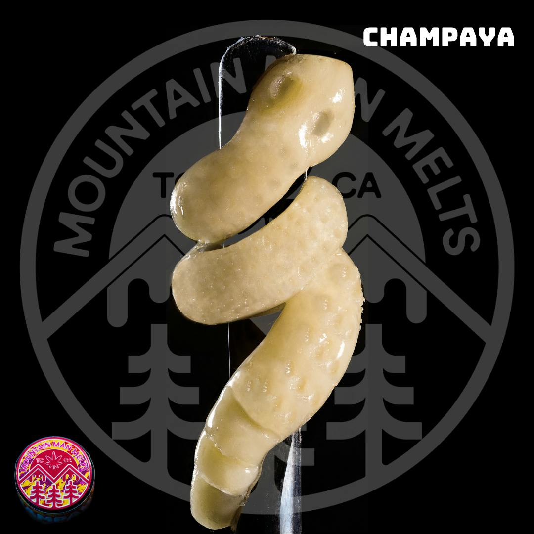 Mountain Man Melts — Champaya