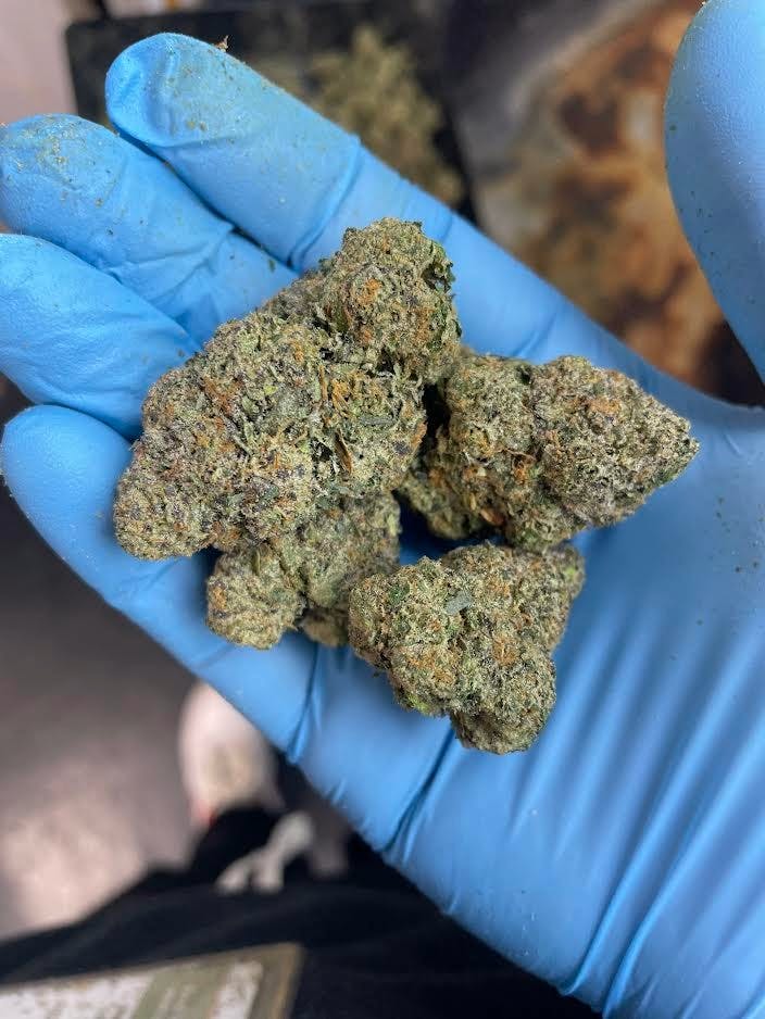Droppin dat Ass