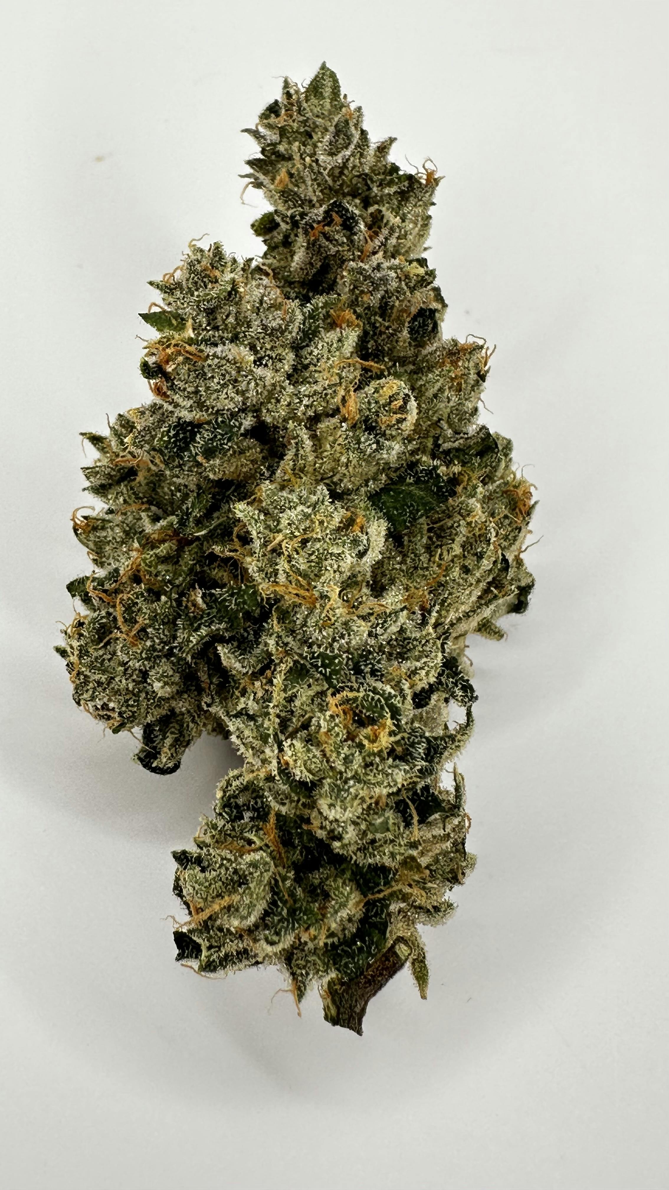 Richard Petty Aka Rp