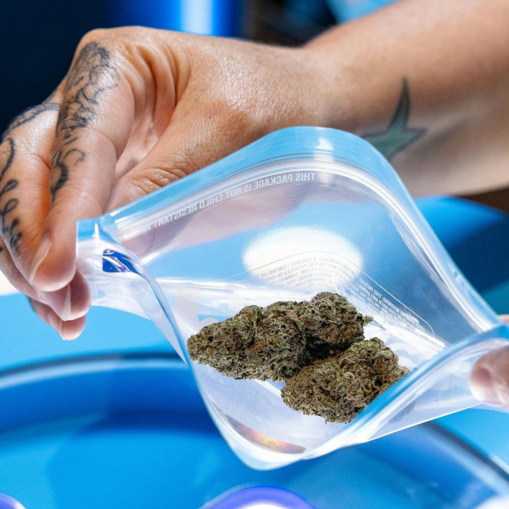 Cookies: Blueberry Caviar