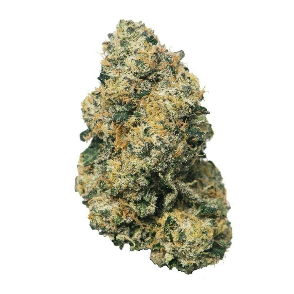 Proper Cannabis - Sherbanger #22 | 3.5g by Proper Cannabis