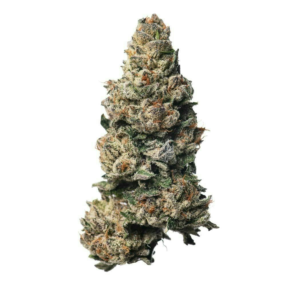 Proper Cannabis - Cherry Cosmo #2 | 3.5g