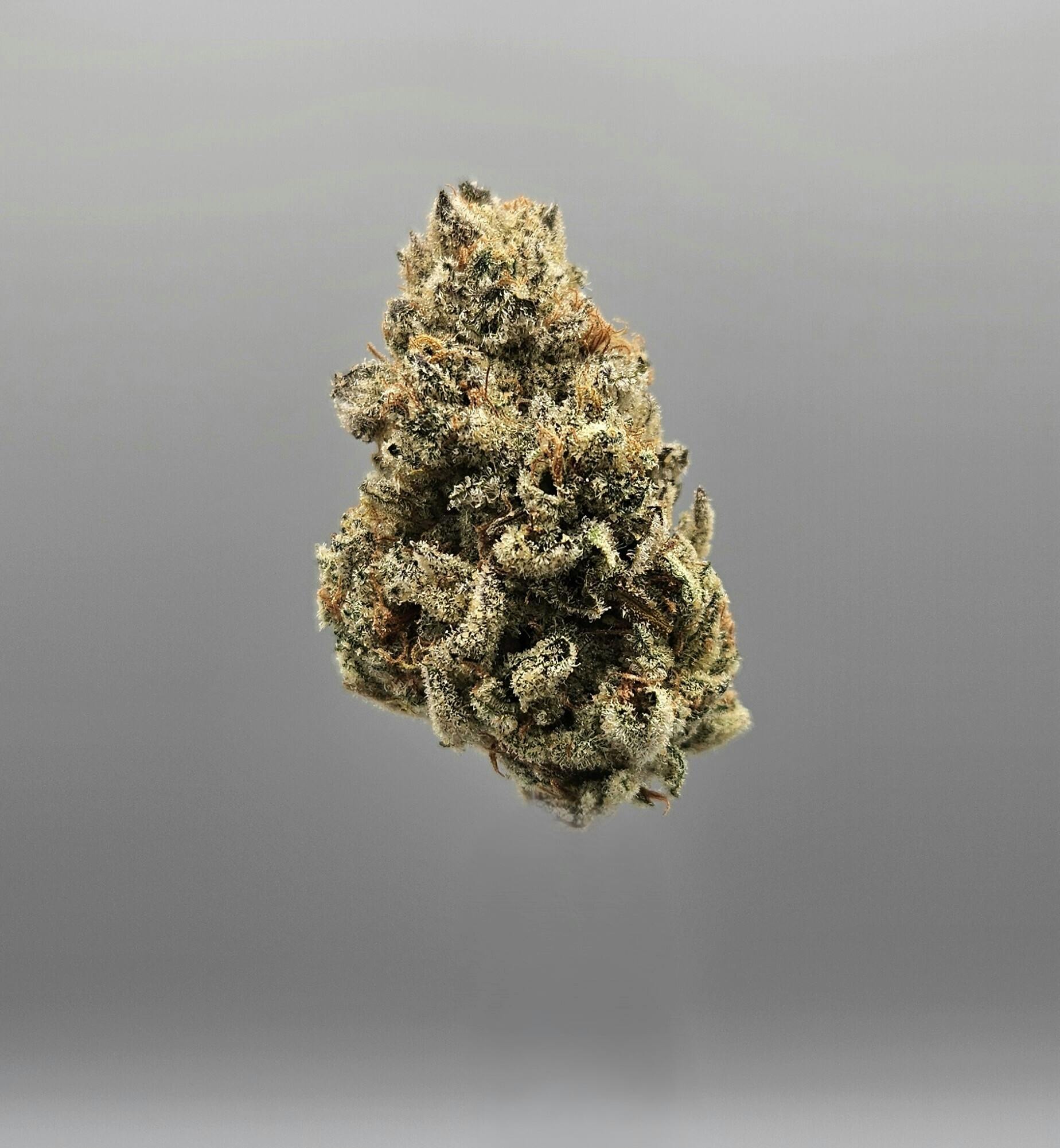 Flower - Tier 1 - Melon Breath by Ripple Wellness