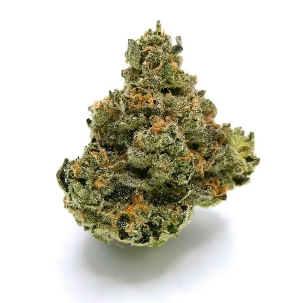 Boofy Buds by Avitas