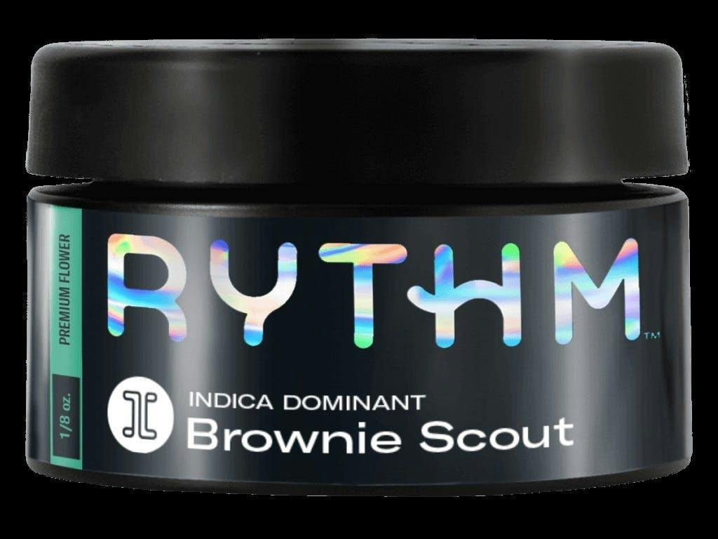 Brownie Scout