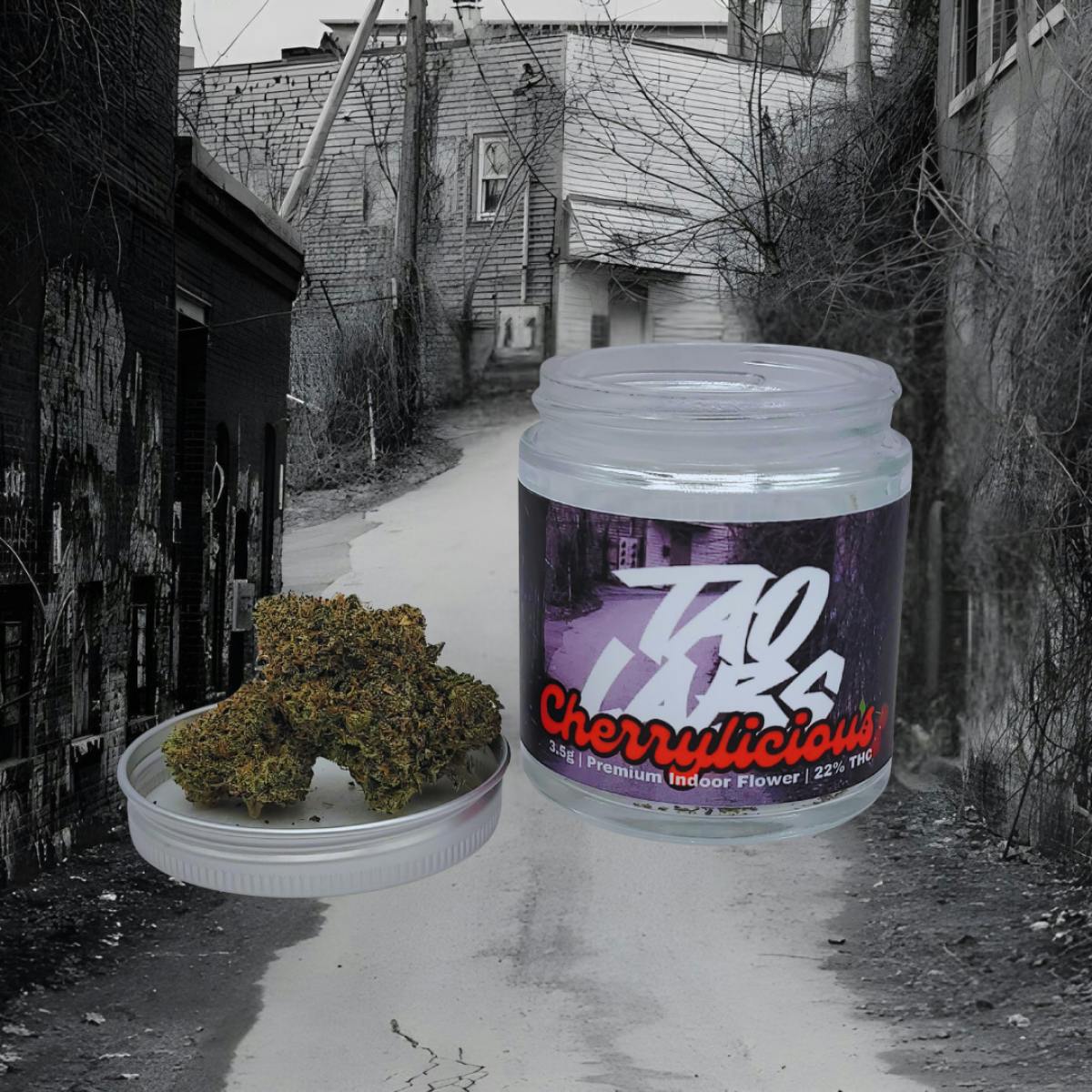 Cherrylicious A Bud Indoor Flower by Tao Labs