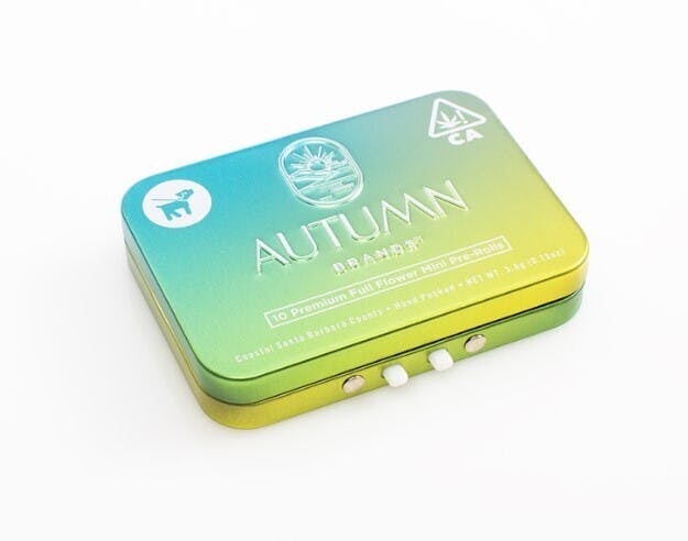 Mini Preroll 10pk Sativa Zippy ZaZa - Autumn Brands