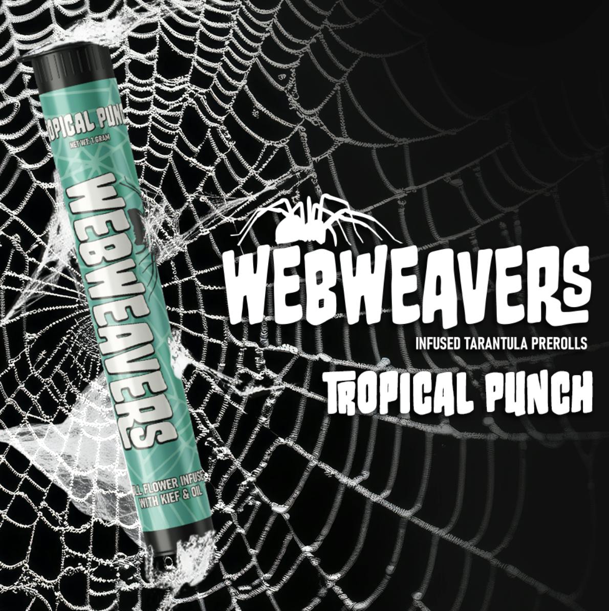 Webweavers | Tropical Punch | Infused Pre Roll | 1G