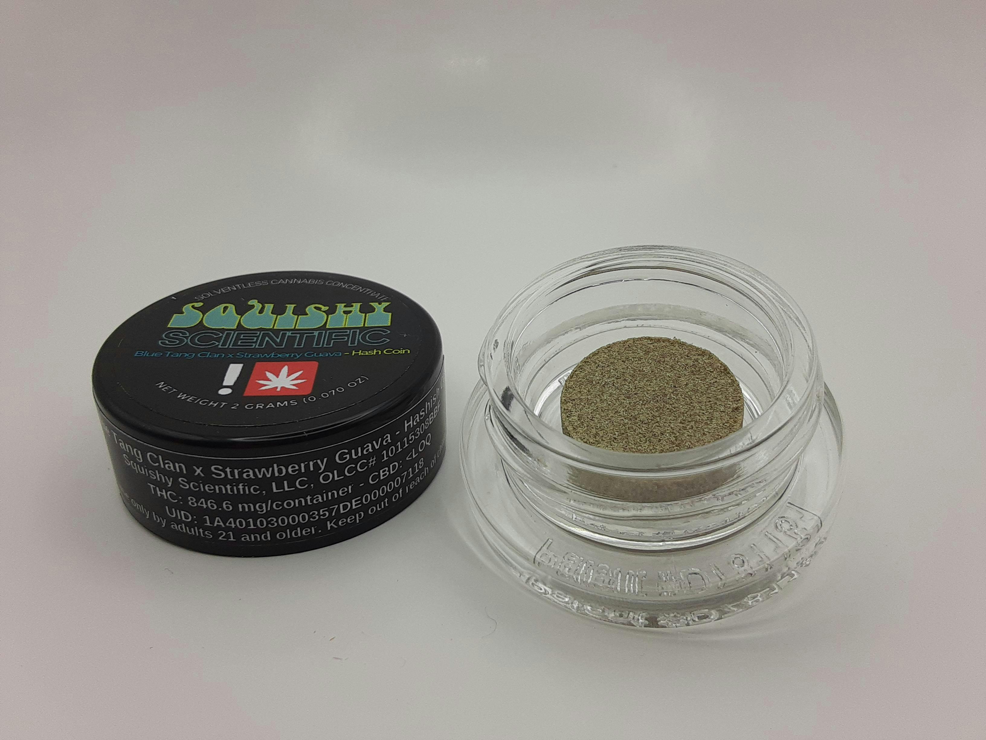 Blue Tang Clan x Strawberry Guava - Hashish Coin - Squishy Scientific