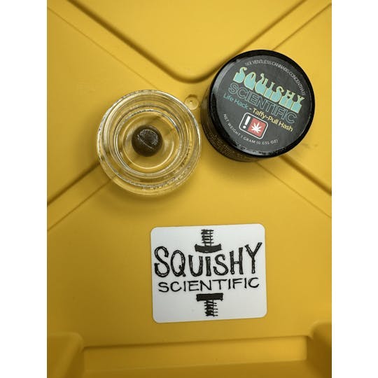 Squishy Scientific: Life Hack
