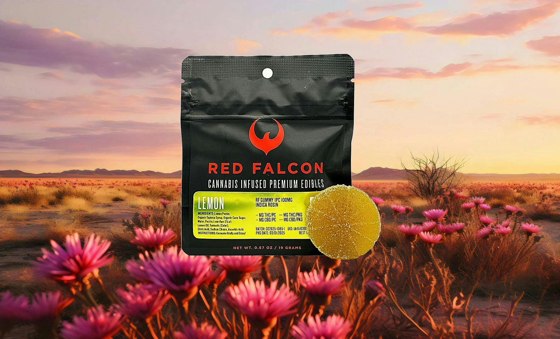 Red Falcon: Lemon Coin 1pc