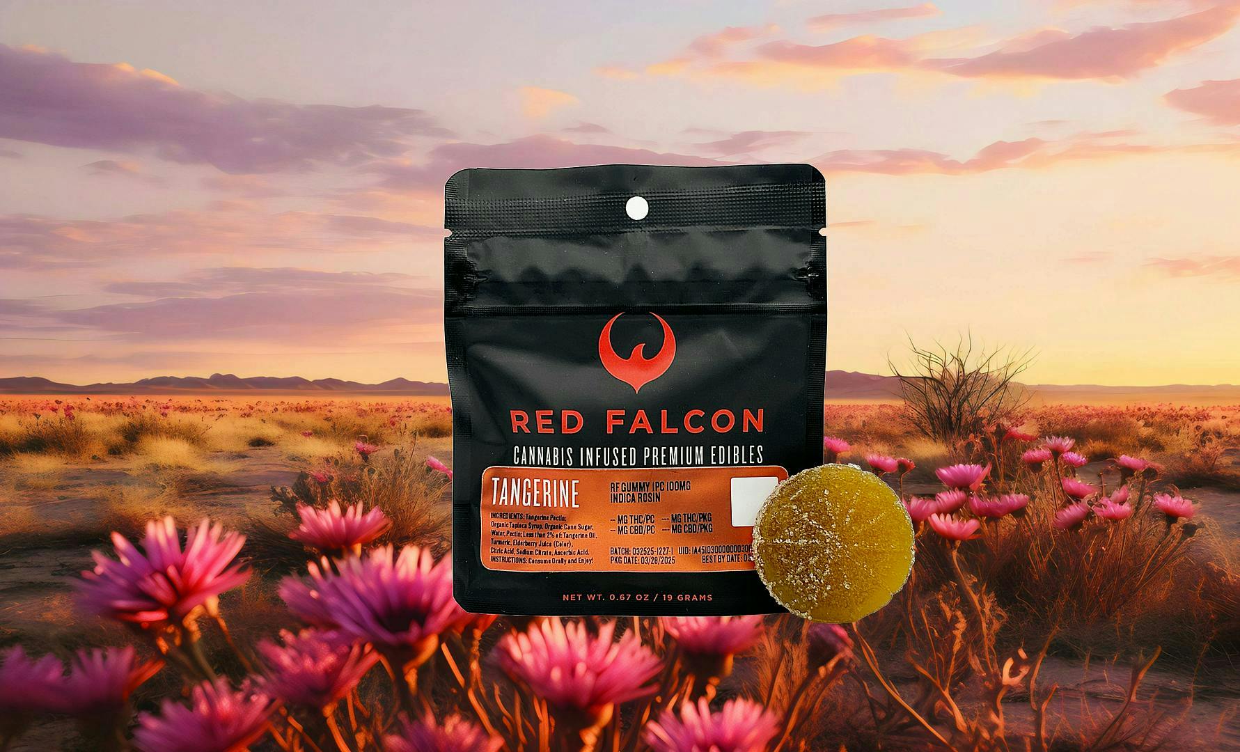 Red Falcon: Tangerine Coin 1pc
