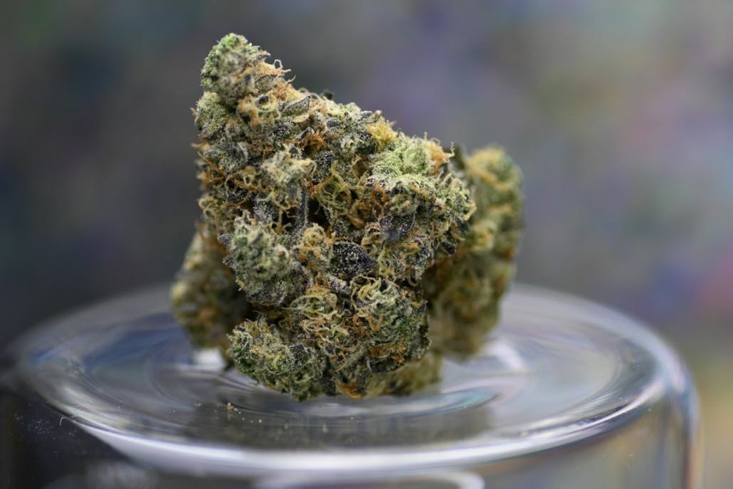 Riviera Creek | 5.66G Flower - Wild Cat by Riviera Creek