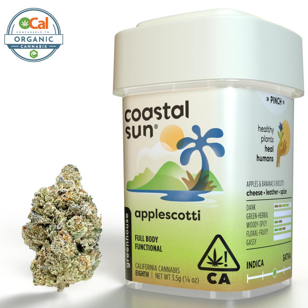 Coastal Sun — Applescotti