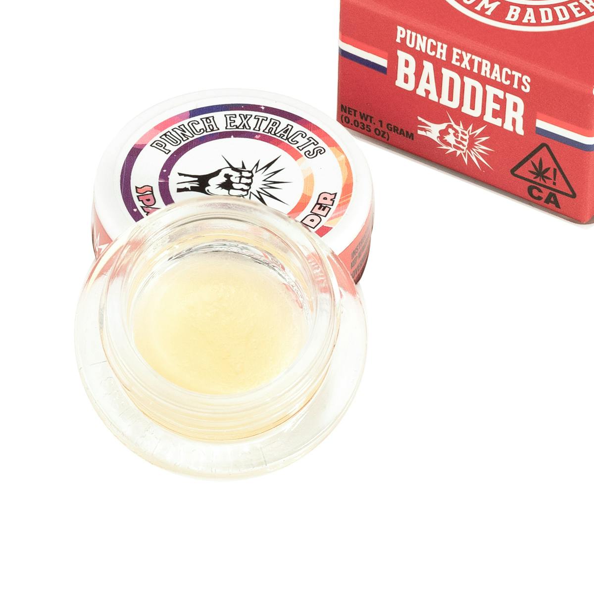 PUNCH EDIBLES & EXTRACTS — Space Dust