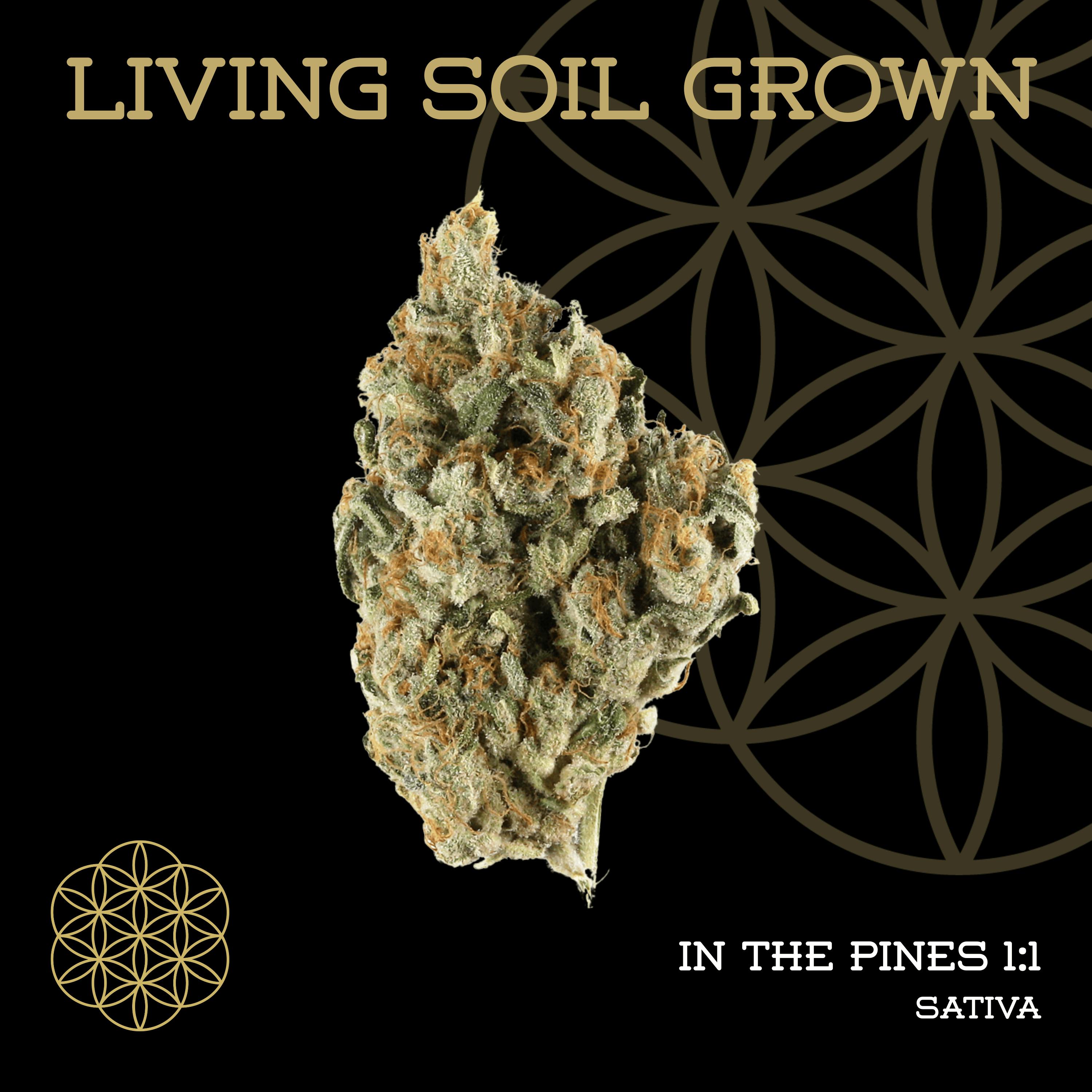 In The Pines | Bulk Deli | Living Soil by Flower of Life