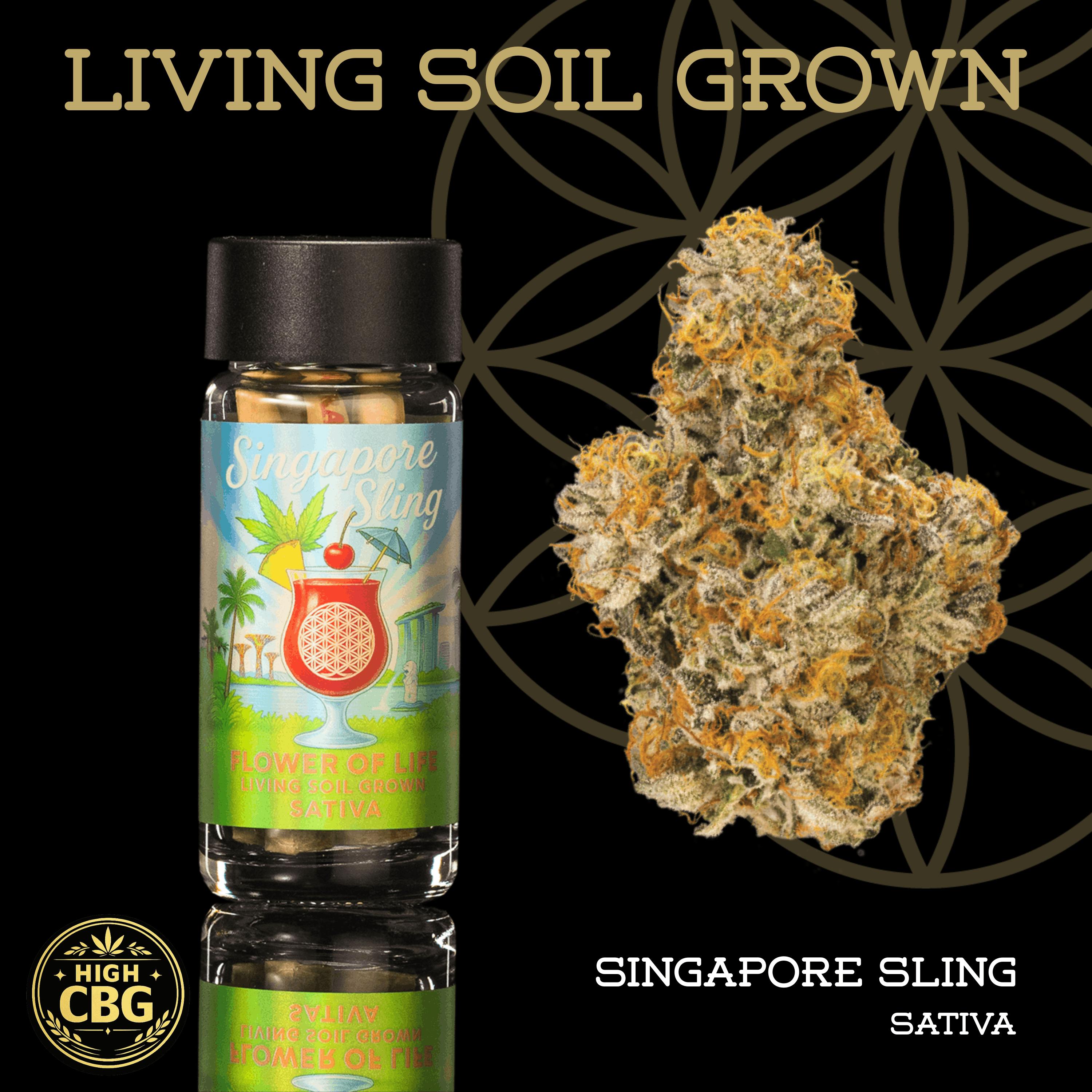Singapore Sling | Pre-Roll 5-Pack | 2.5g | Living Soil