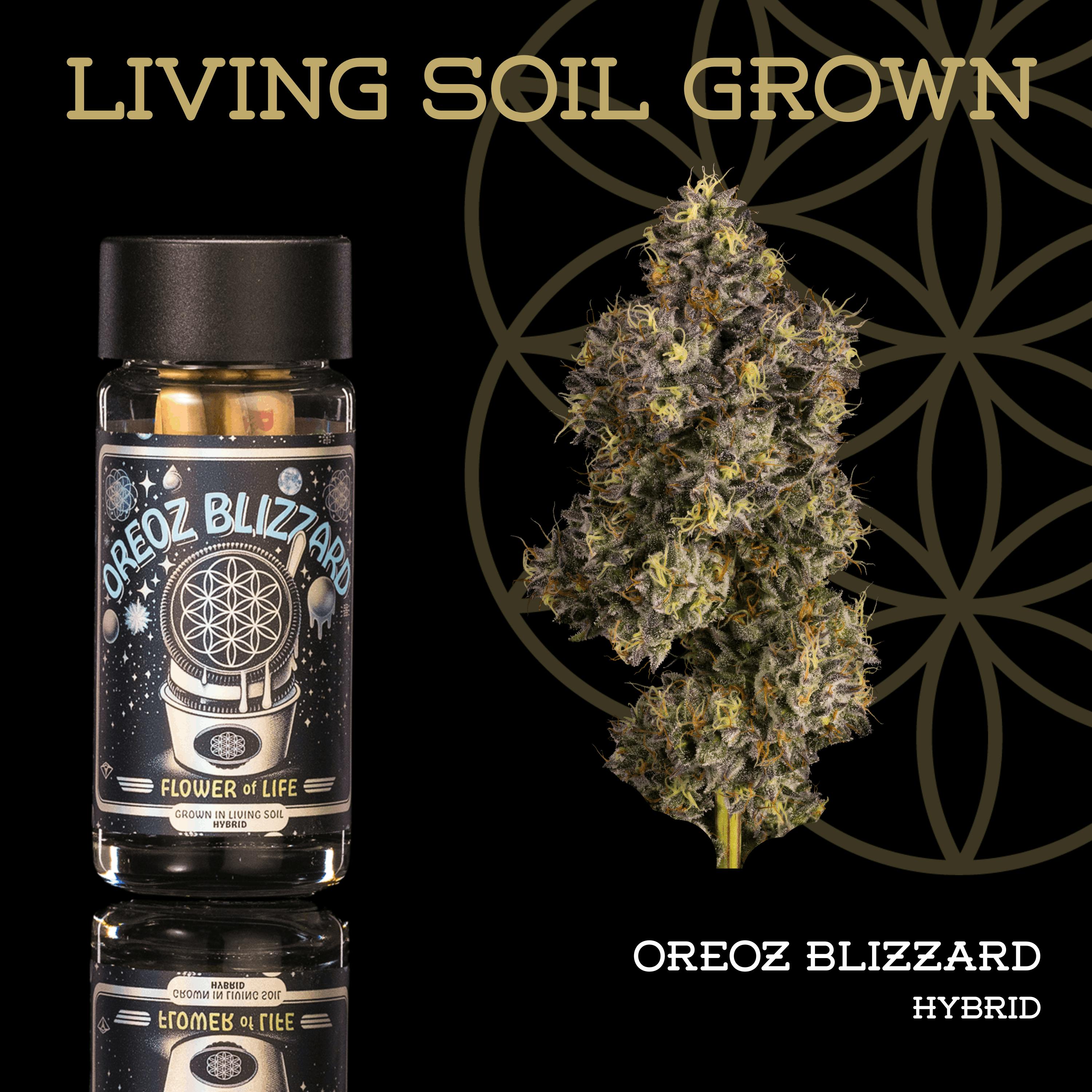 Oreoz Blizzard | Minis | 0.5g each | 5pk