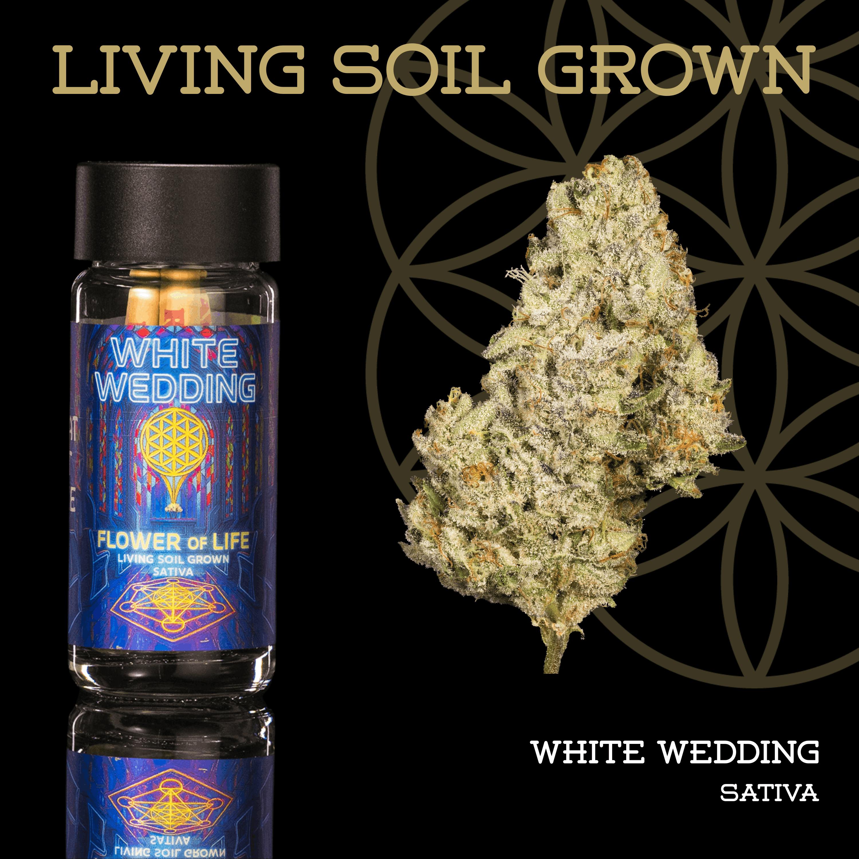 White Wedding | Pre-Roll 5-Pack | 2.5g | Living Soil by Flower of Life