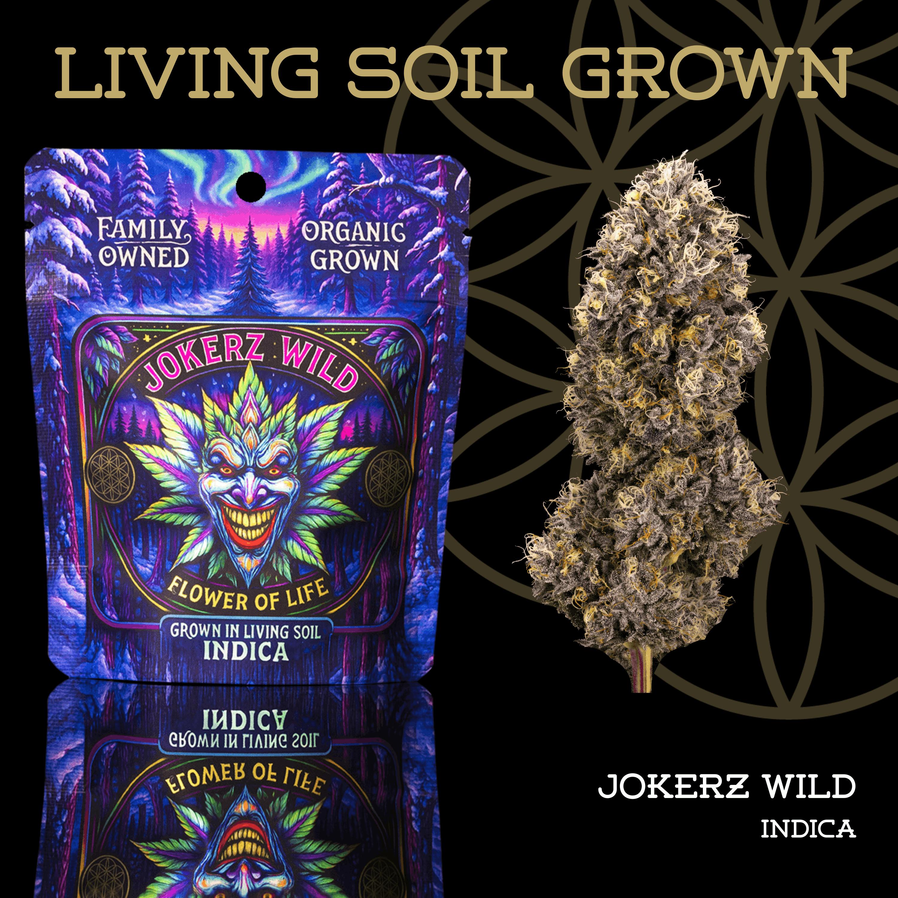 Jokerz Wild | Prepack | Mylar Bag | Living Soil