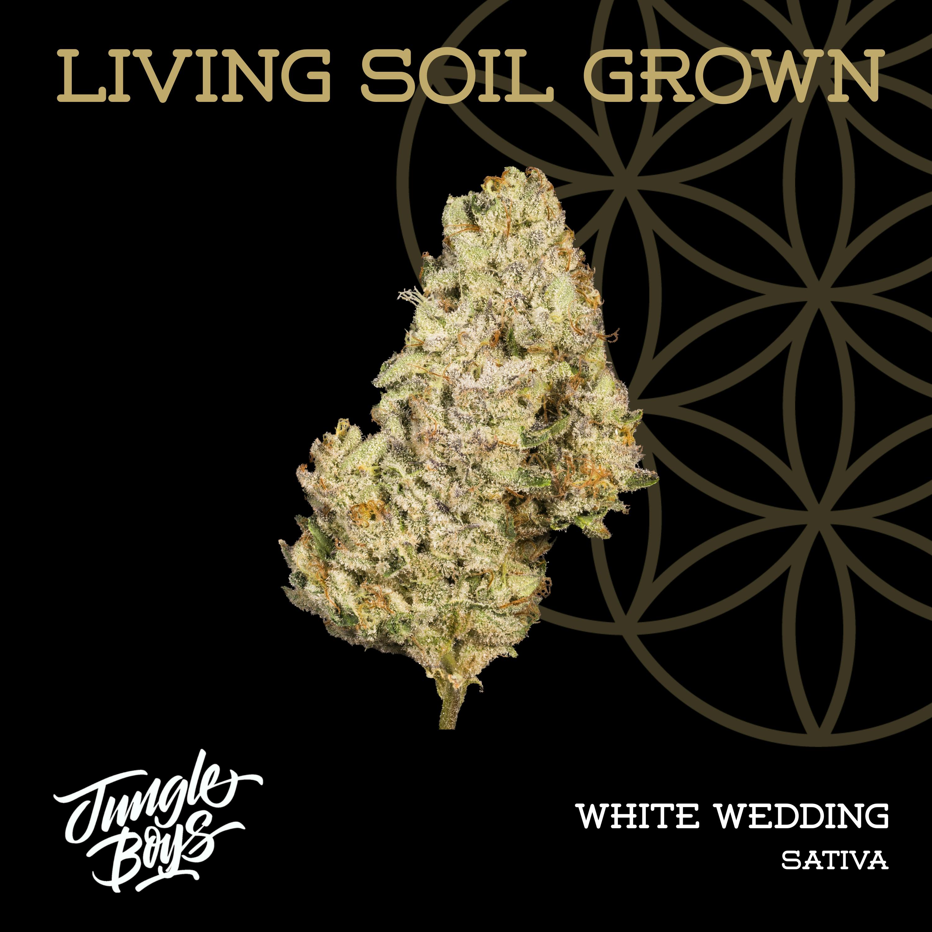 White Wedding | Prepack | 14g | Living Soil by Flower of Life