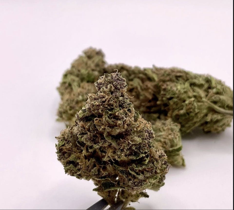 Self Made Farms: Cherry Dosi