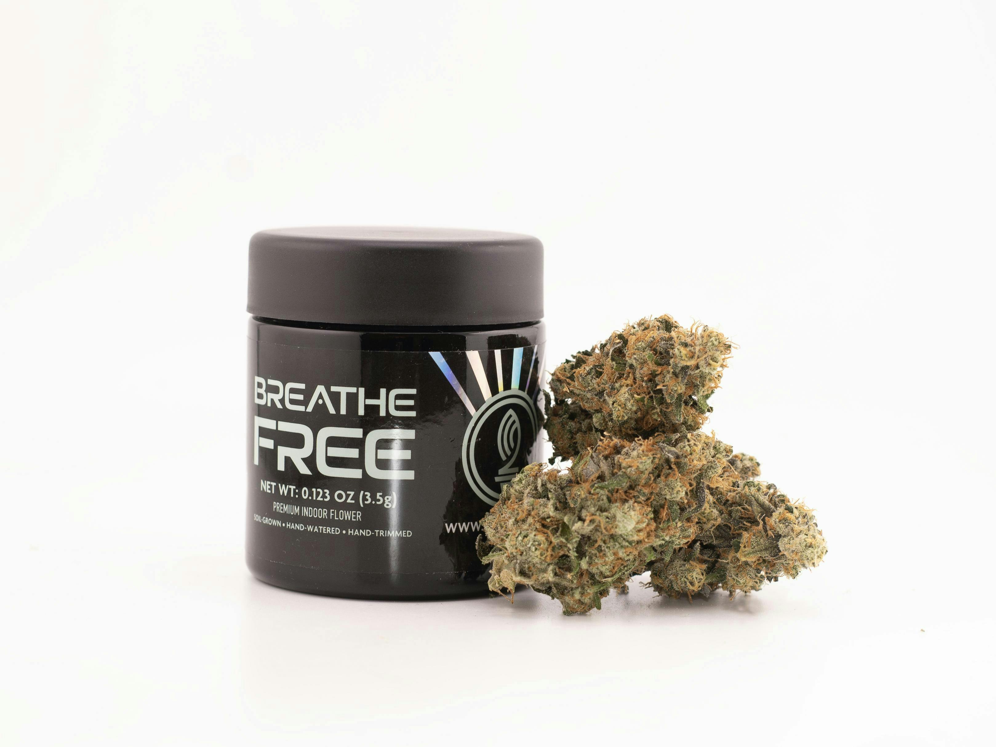 Sour Pelli Popz | Big Buds | 3.5g - Breathe Free