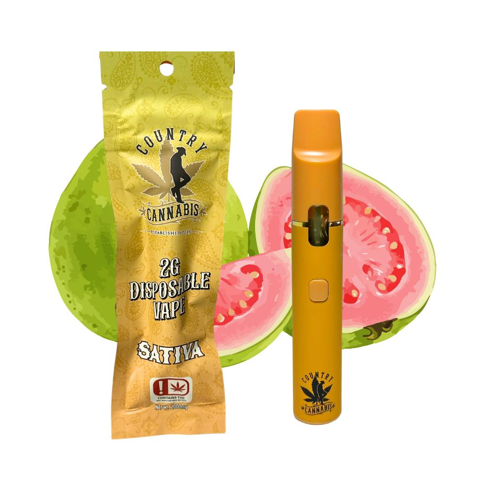 Guava | Vape | 2G