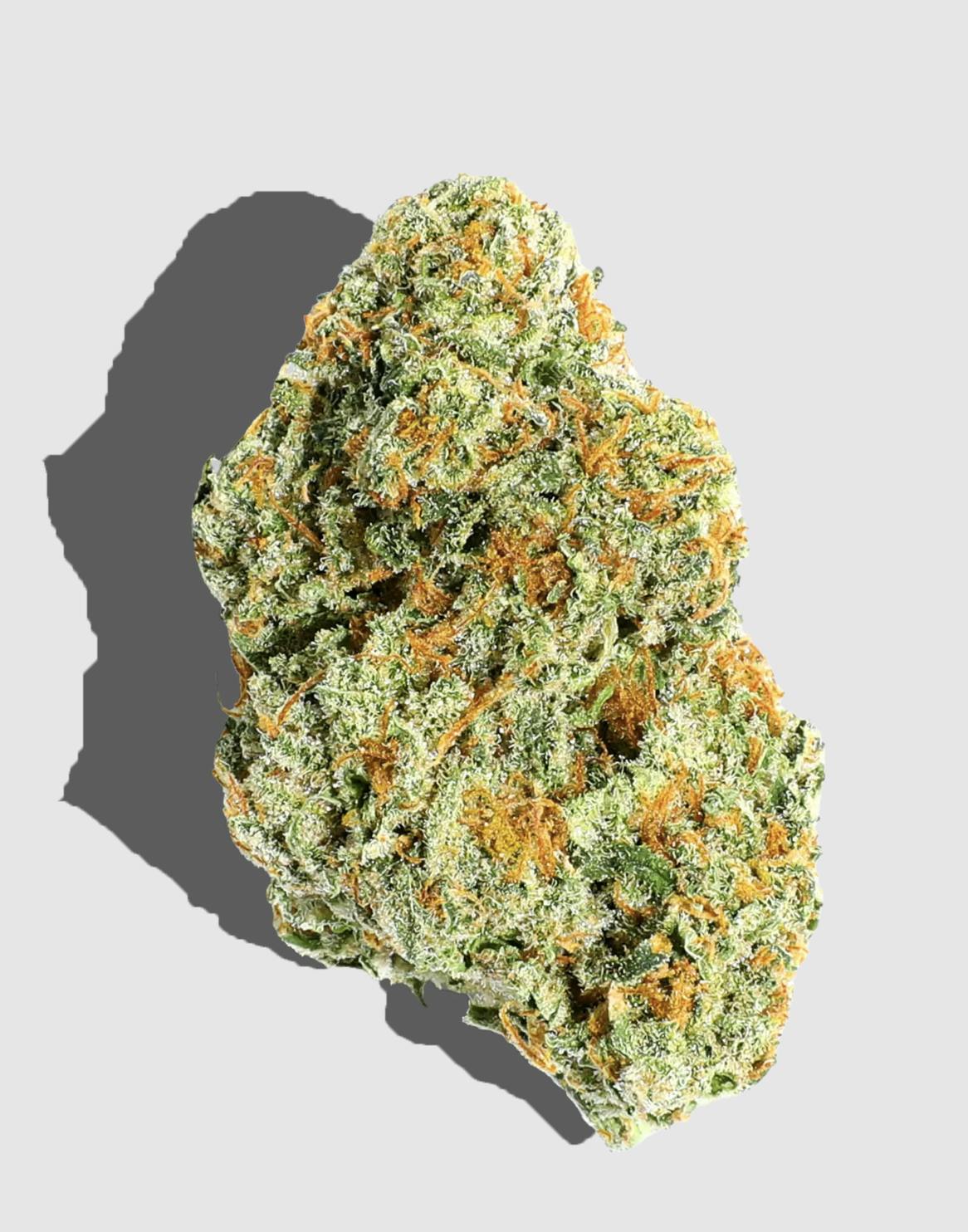 Bombulan Flower