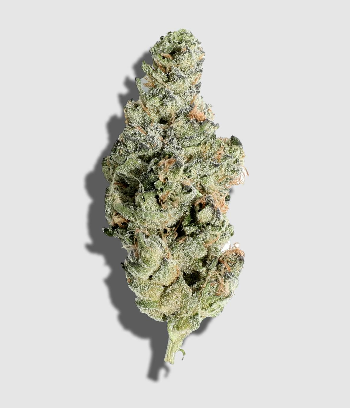 Dosidos 3.5g Flower by Lume Cannabis Co.