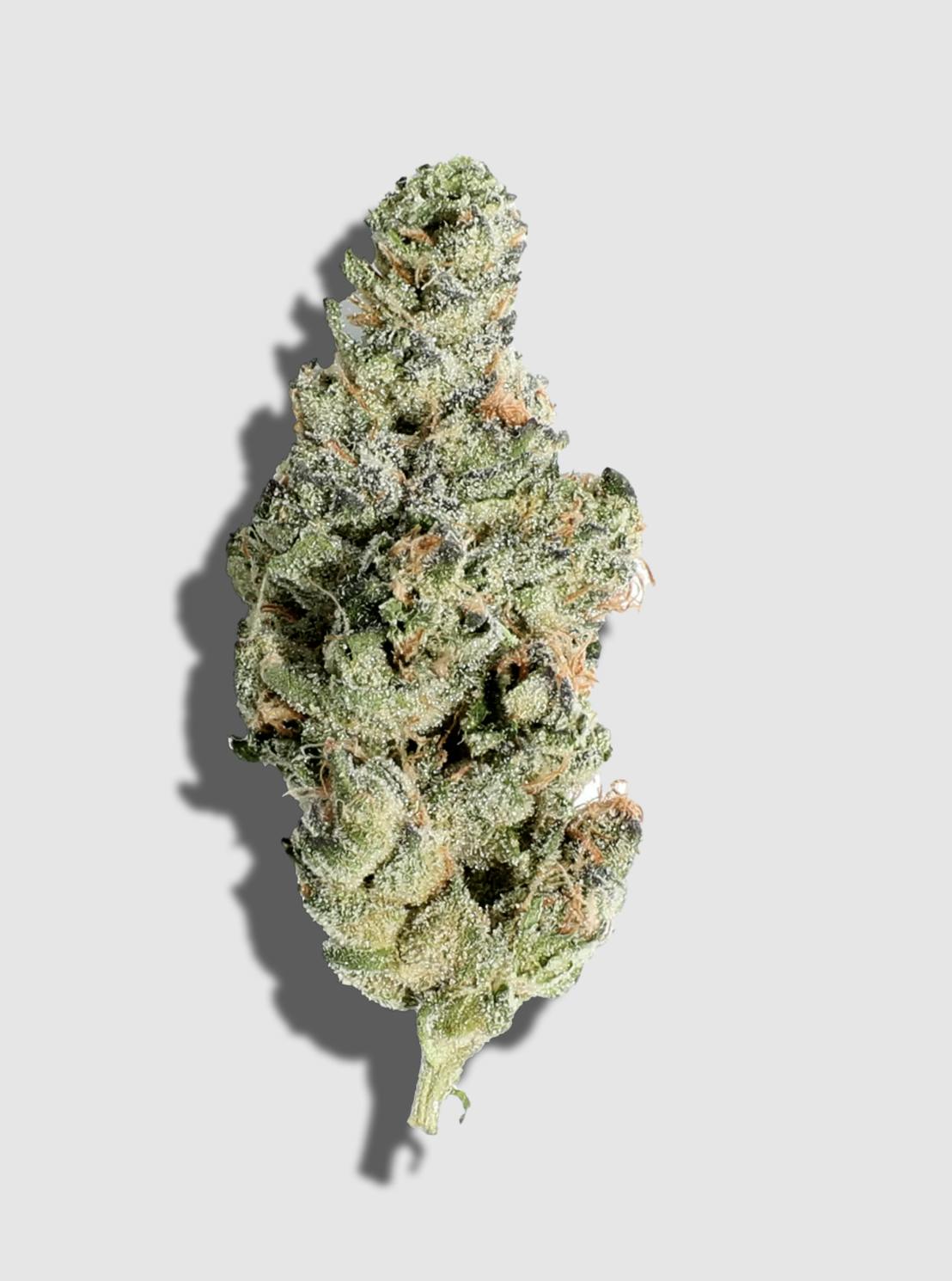 Terp Alert: Dosidos 3.5g Flower - Lume Cannabis Co.