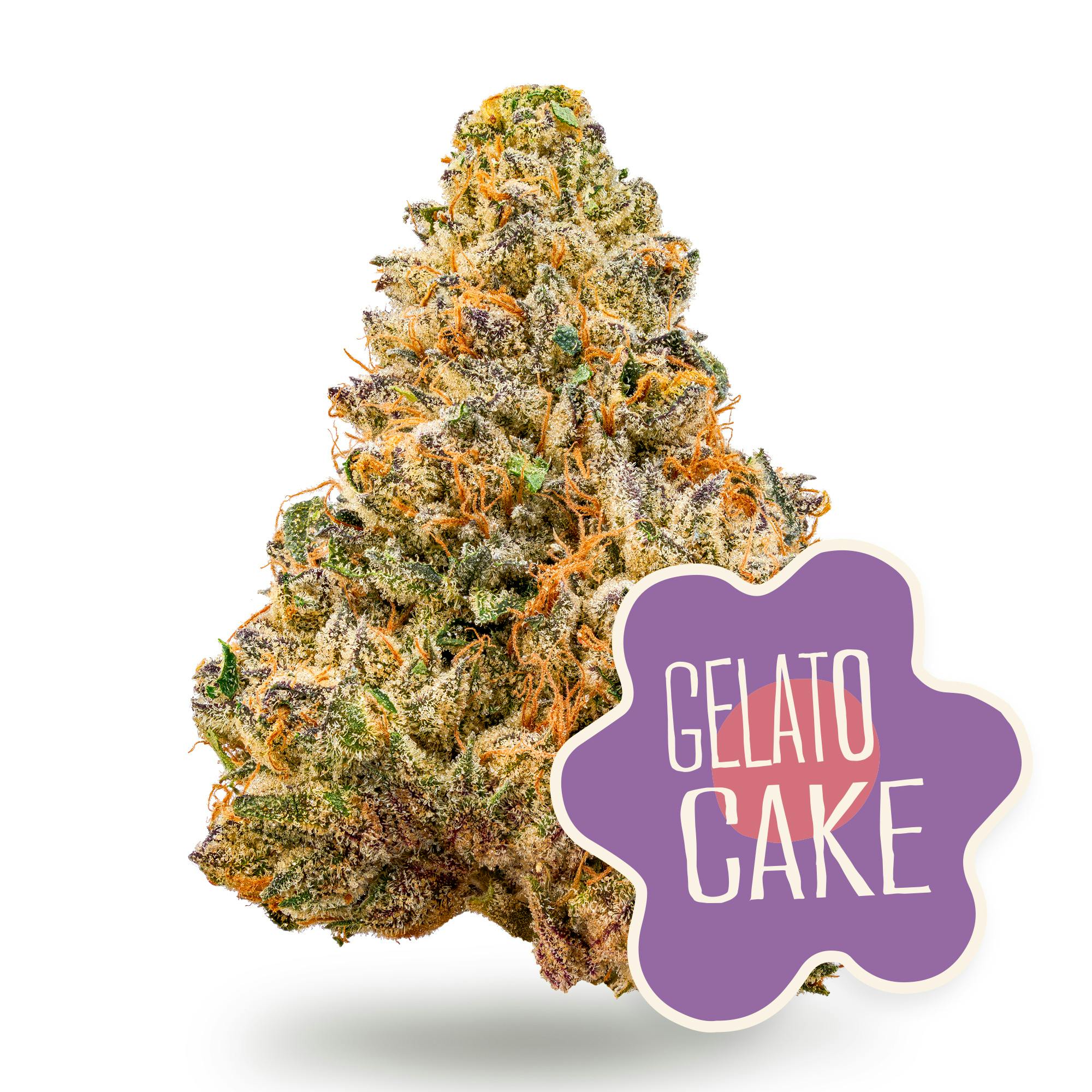 Gelato Cake Flower at KOAN Cannabis