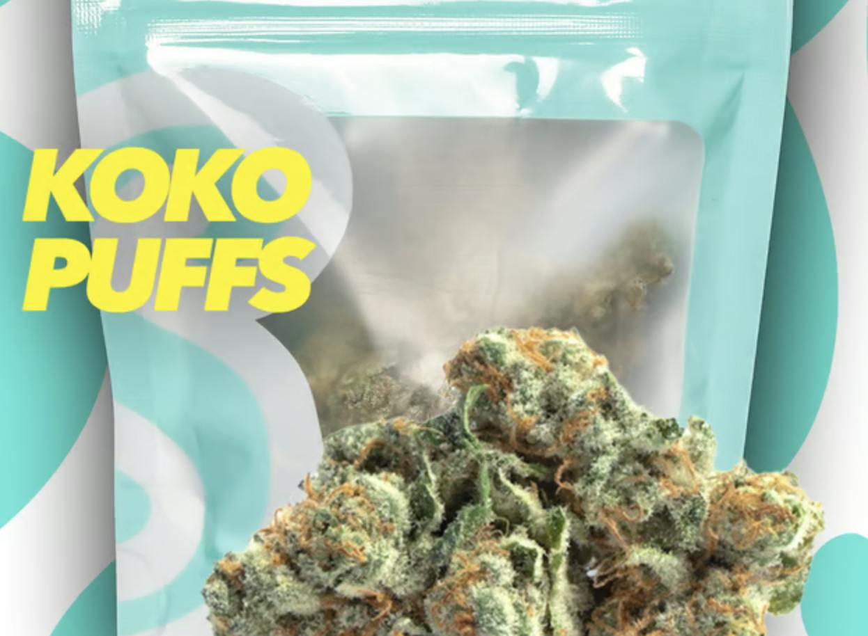 Soft Serve | Koko Puffs by Soft Serve