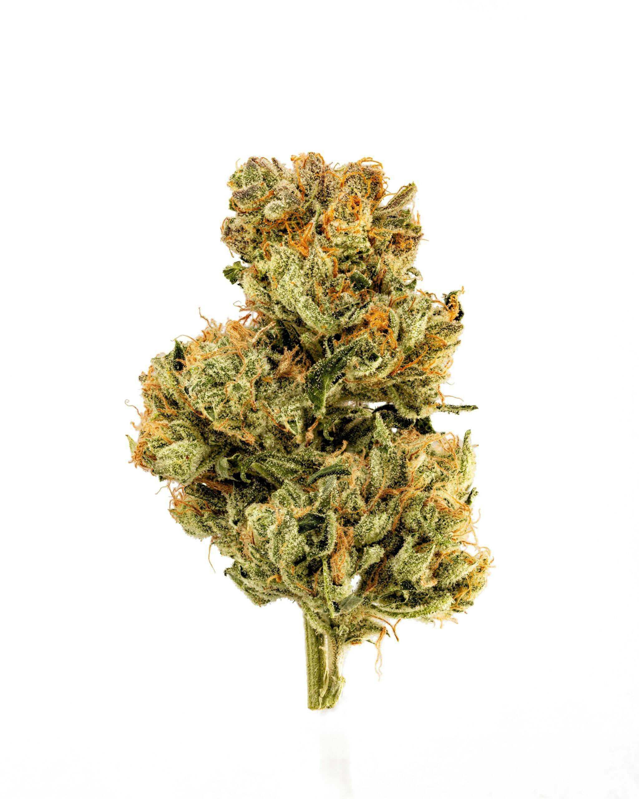 Smyth | 3.5g Flower - East Coast Sour Diesel by Smyth Cannabis Co.