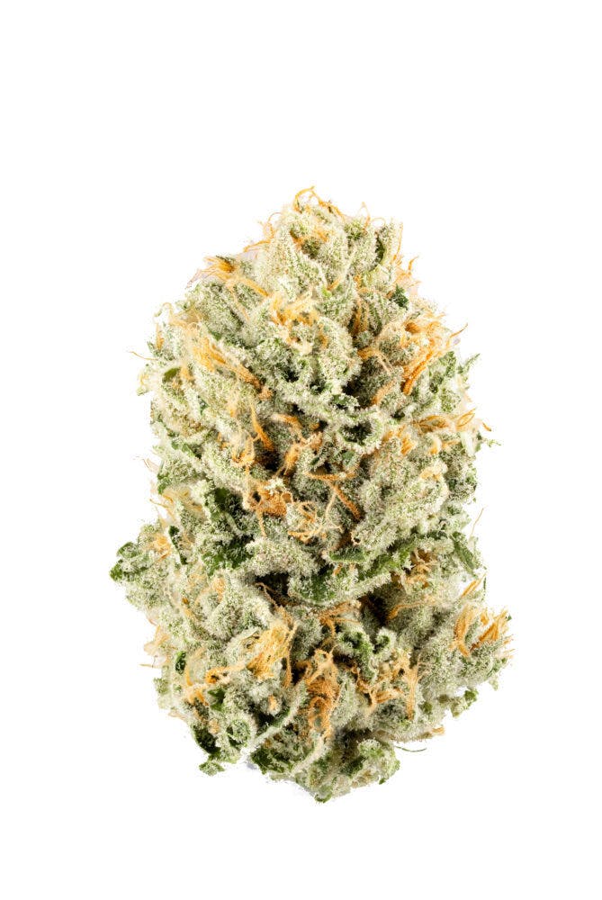 Smyth | 3.5g Flower - Hippie Crasher by Smyth Cannabis Co.