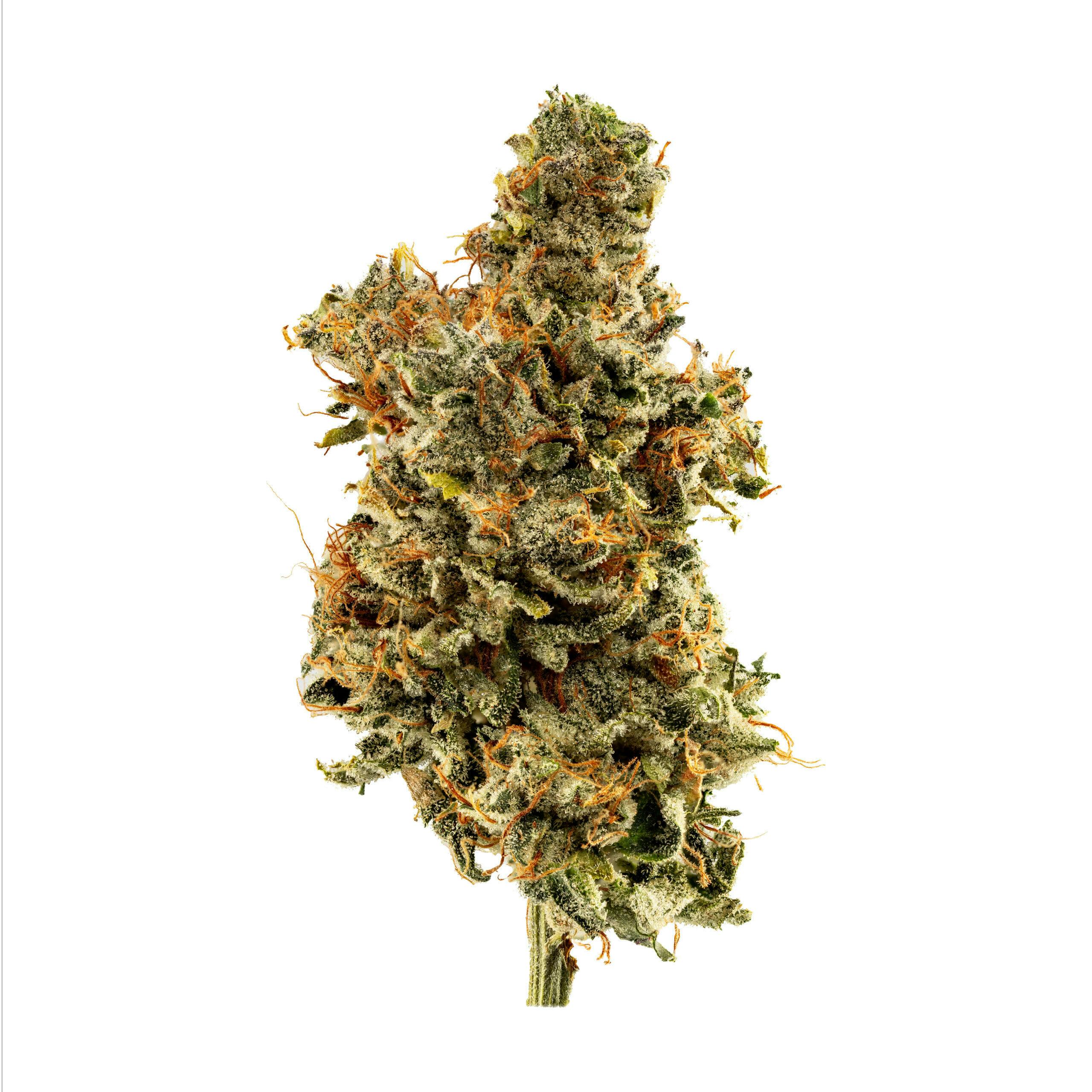 Smyth | 3.5g Flower - Tarts by Smyth Cannabis Co.