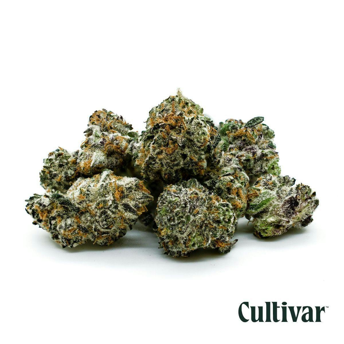 Cultivar | Zealousy | 3.5g Minis - Cultivar Collection