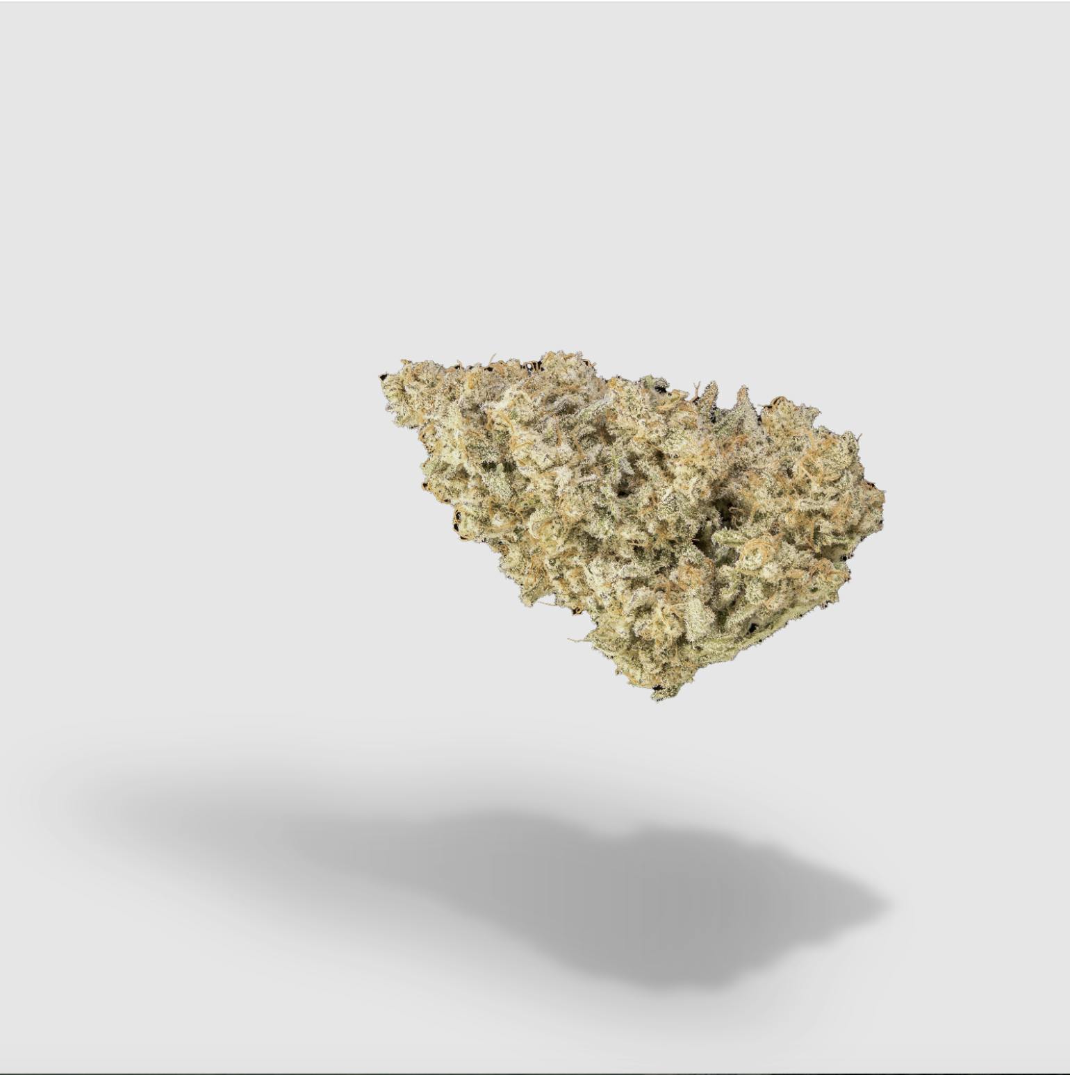 Mac + Cheese | Bountiful Farms | Flower | 3.5G by Bountiful Farms