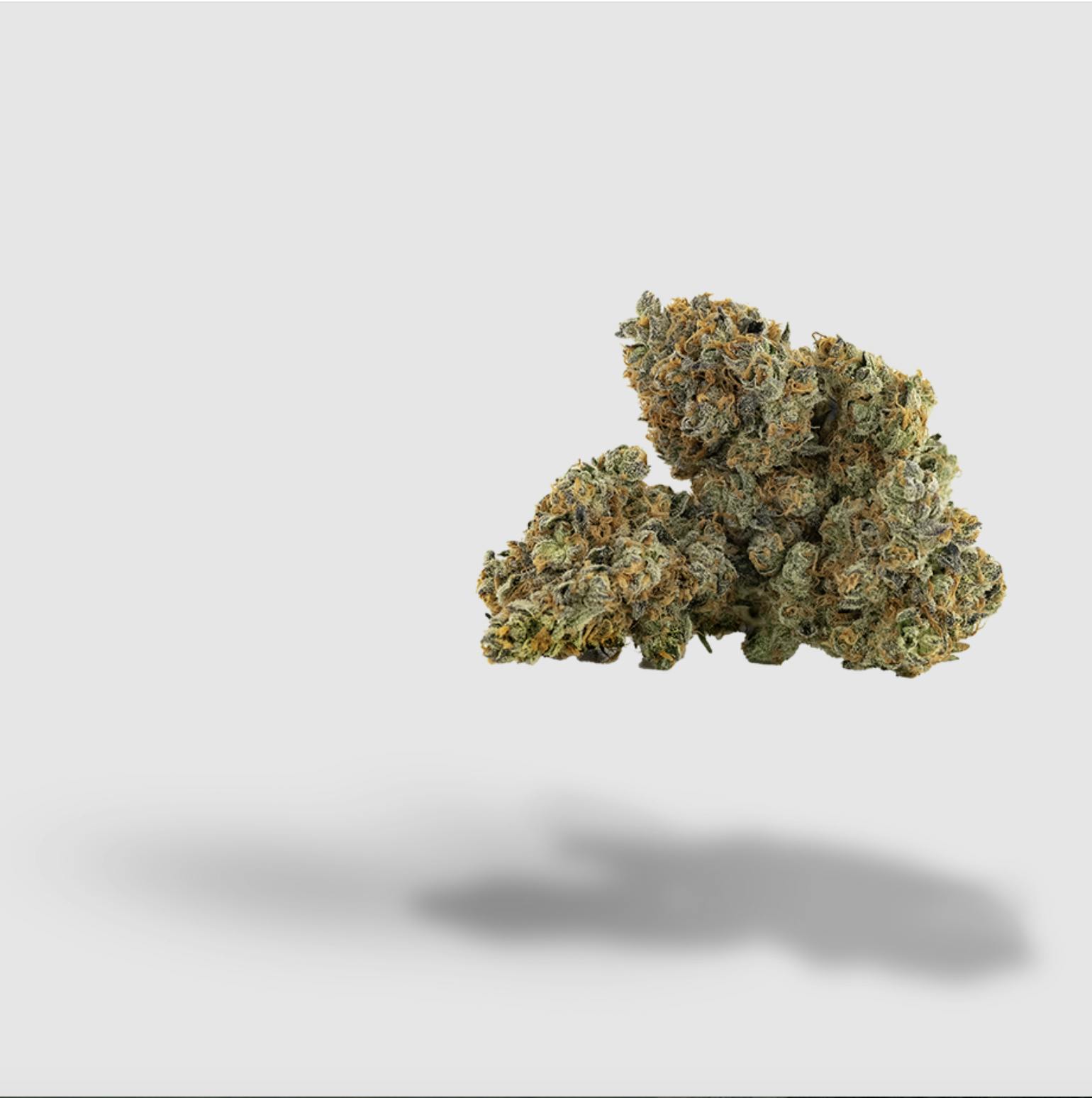 Cheese Wiz | Bountiful Farms | Flower | 3.5G