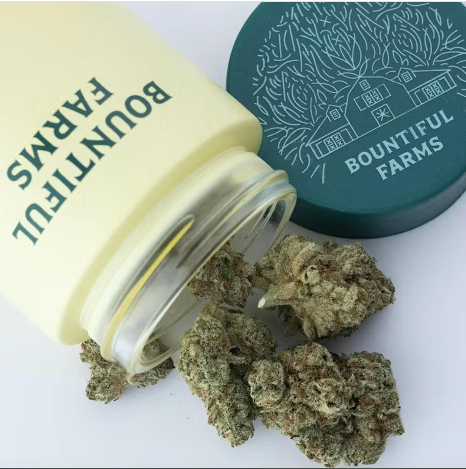 Pina Grande | Bountiful Farms | Flower | 3.5G by Bountiful Farms