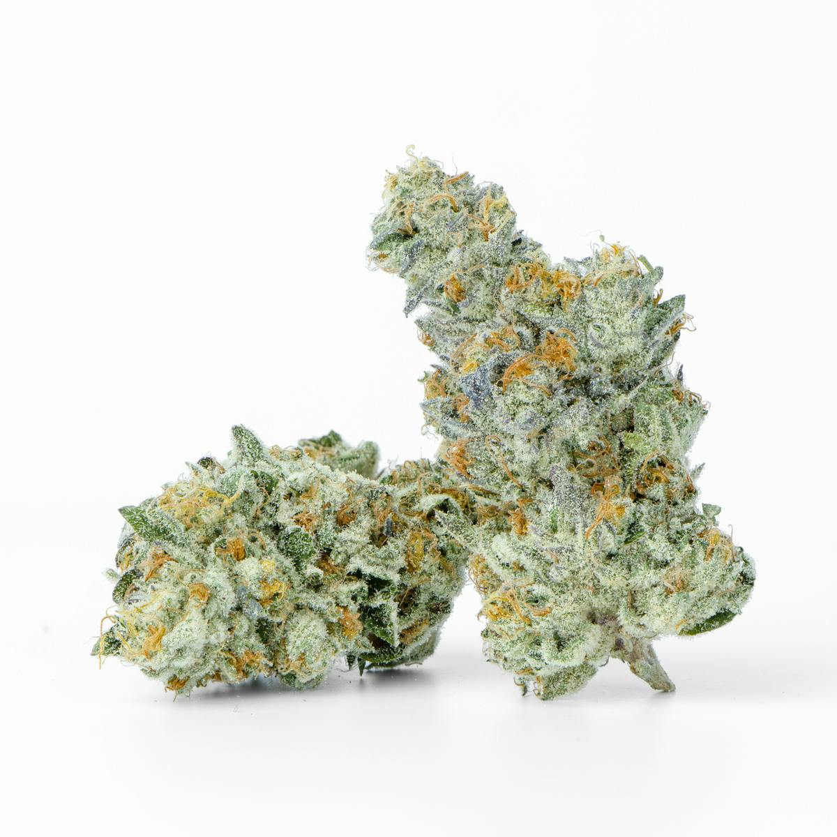 Sherberry Premium Flower