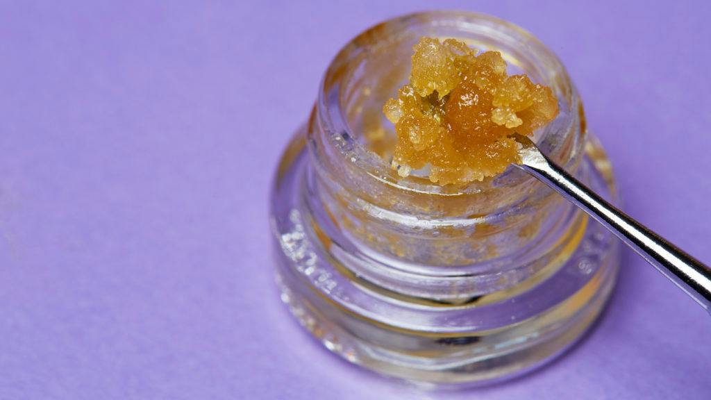 Sunshine | Purple Rufios | 1g Crumble