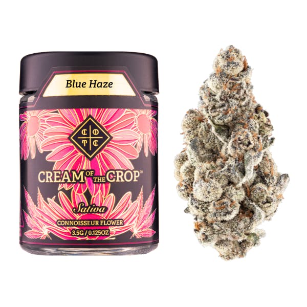 CREAM OF THE CROP — Blue Haze