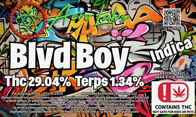 Aero Labs | BLVD Boy | Pre Roll | 1G