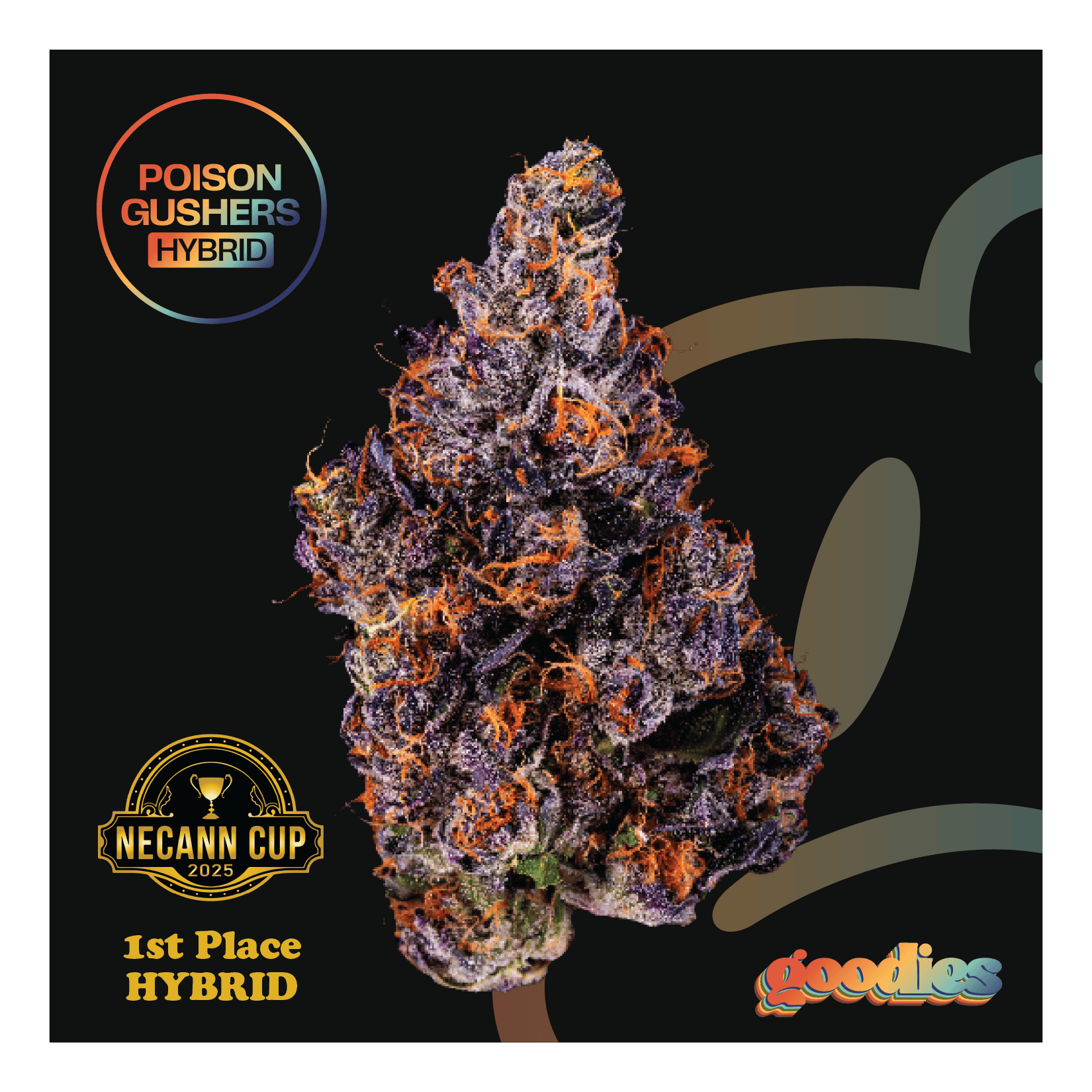 Poison Gushers Whole Flower