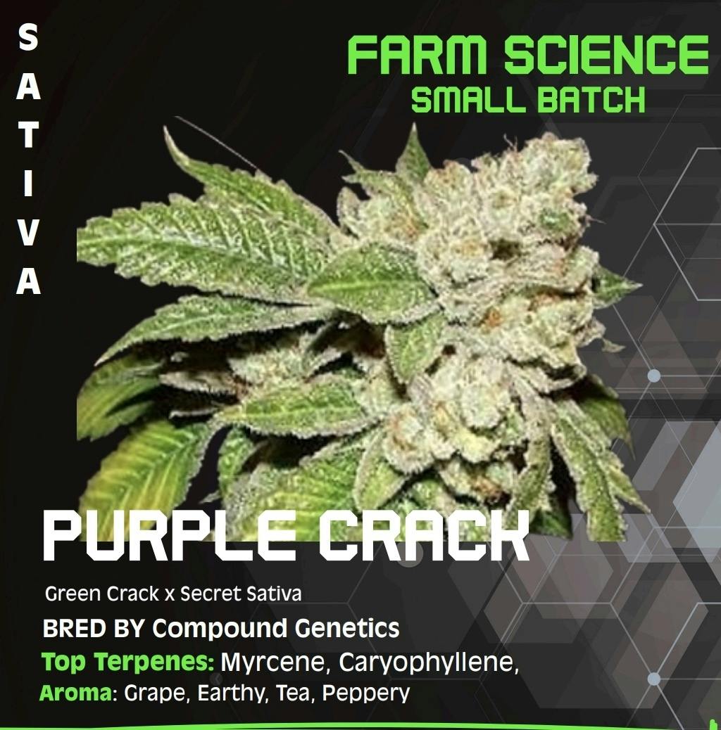 Farm Science | Purple Crack | Flower | 3.5g