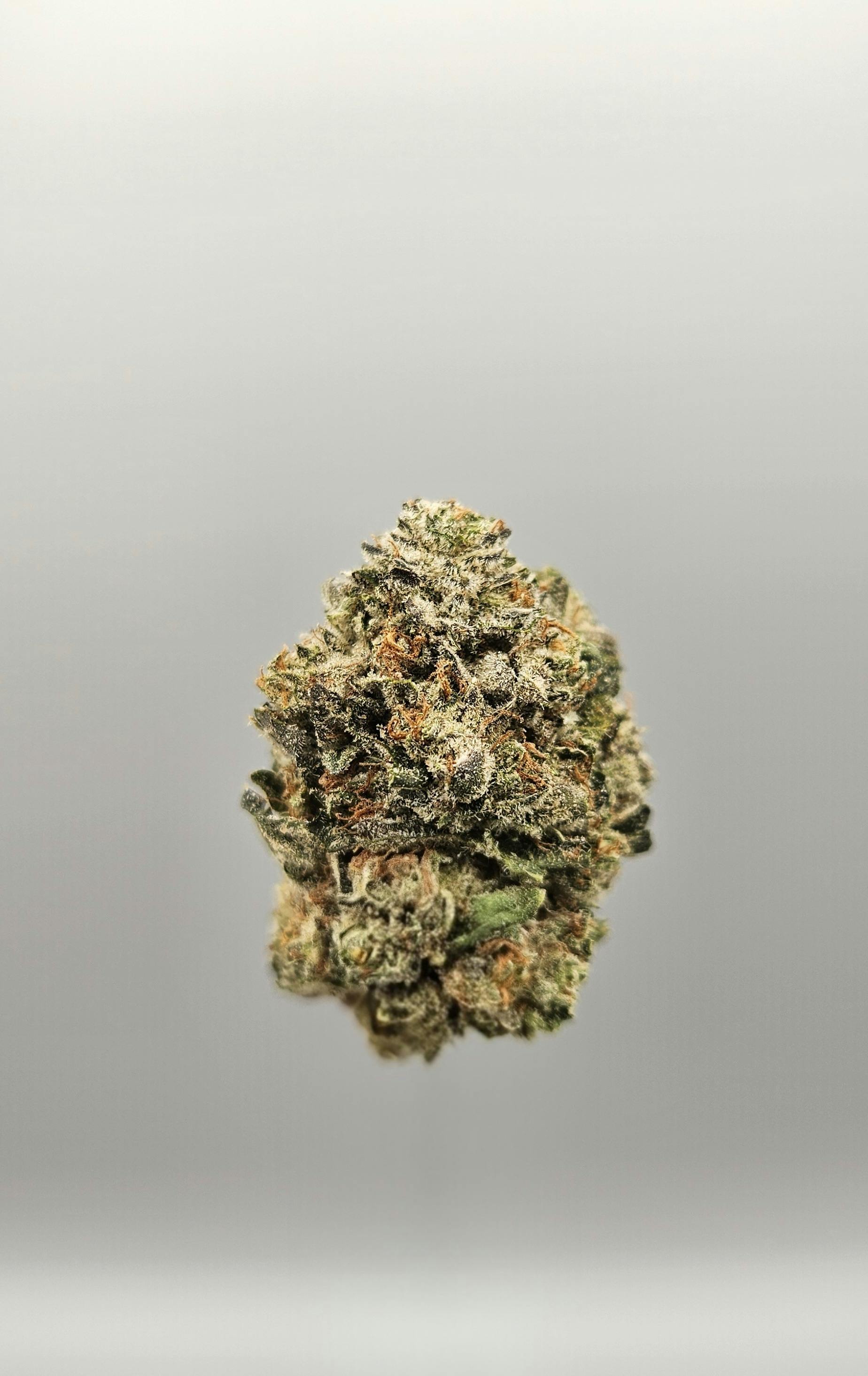 Flower - Private Reserve - Black Oishii by Ripple Wellness