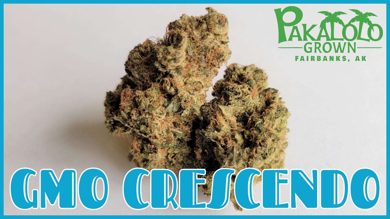 GMO Crescendo