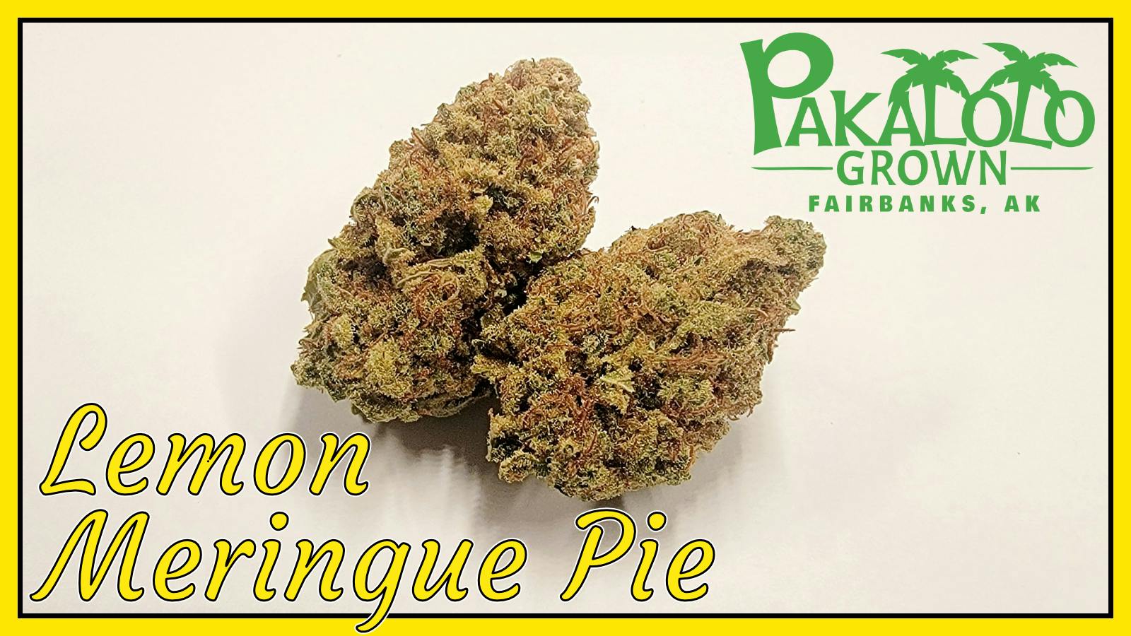 PSC | Lemon Meingue Pie | Flower | 3.5G by Pakalolo Supply Company
